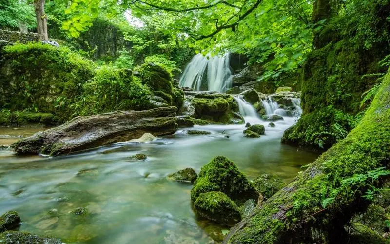 可靠性科技可靠性